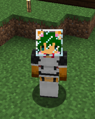 additionalfunction_hat.png